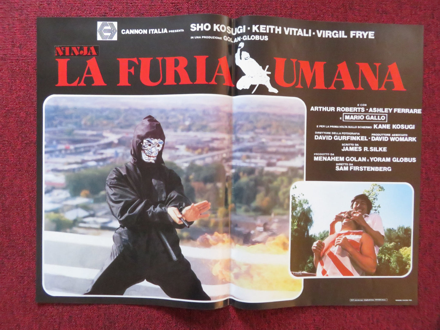 REVENGE OF THE NINJA - E ITALIAN FOTOBUSTA POSTER CANNON SHO KOSUGI 1984