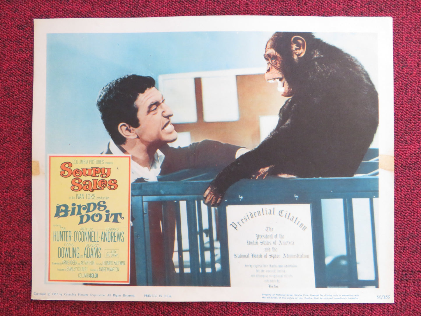 BIRDS DO IT US LOBBY CARD FULL SET SOUPY SALES TAB HUNTER 1966