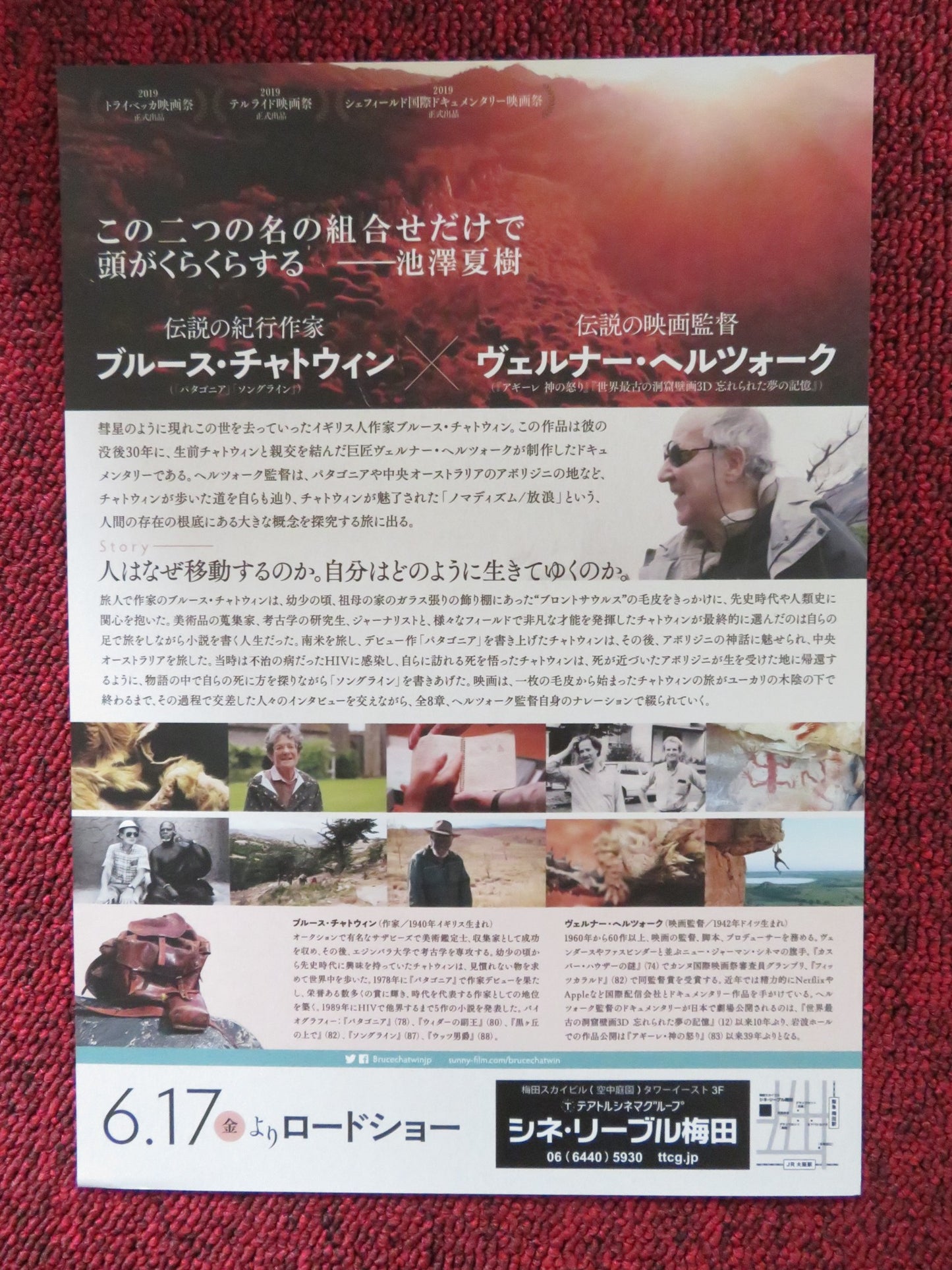 NOMAD: IN THE FOOTSTEPS OF BRUCE CHATWIN JAPANESE CHIRASHI (B5) POSTER 2019