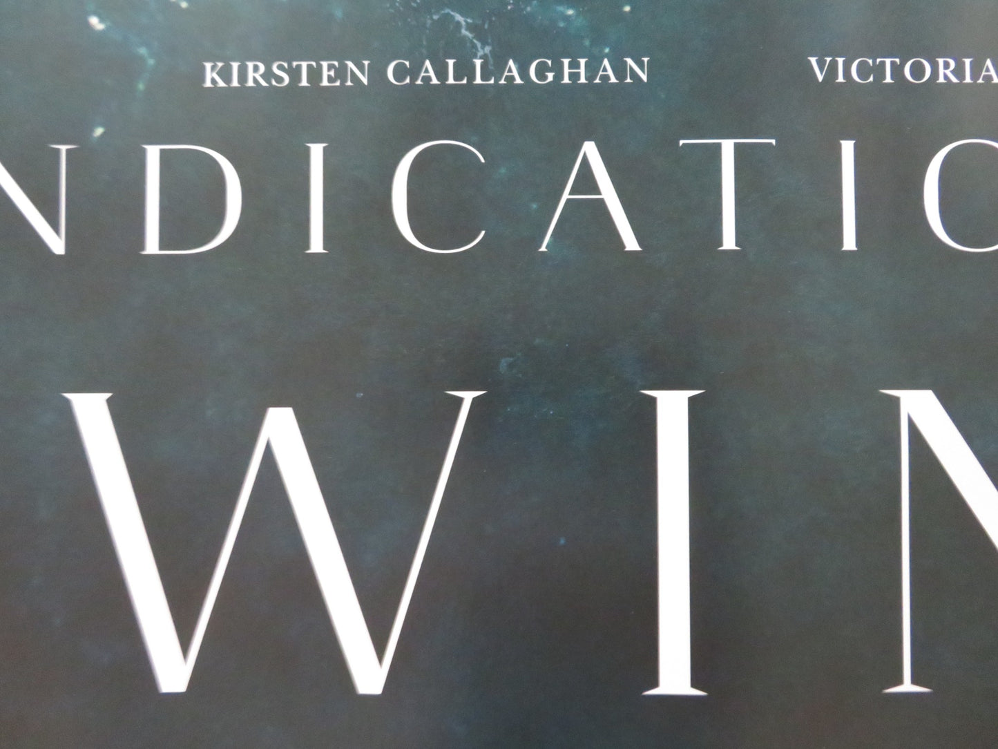 VINDICATION SWIM UK QUAD ROLLED POSTER KIRSTEN CALLAGHAN JOHN LOCKE 2024