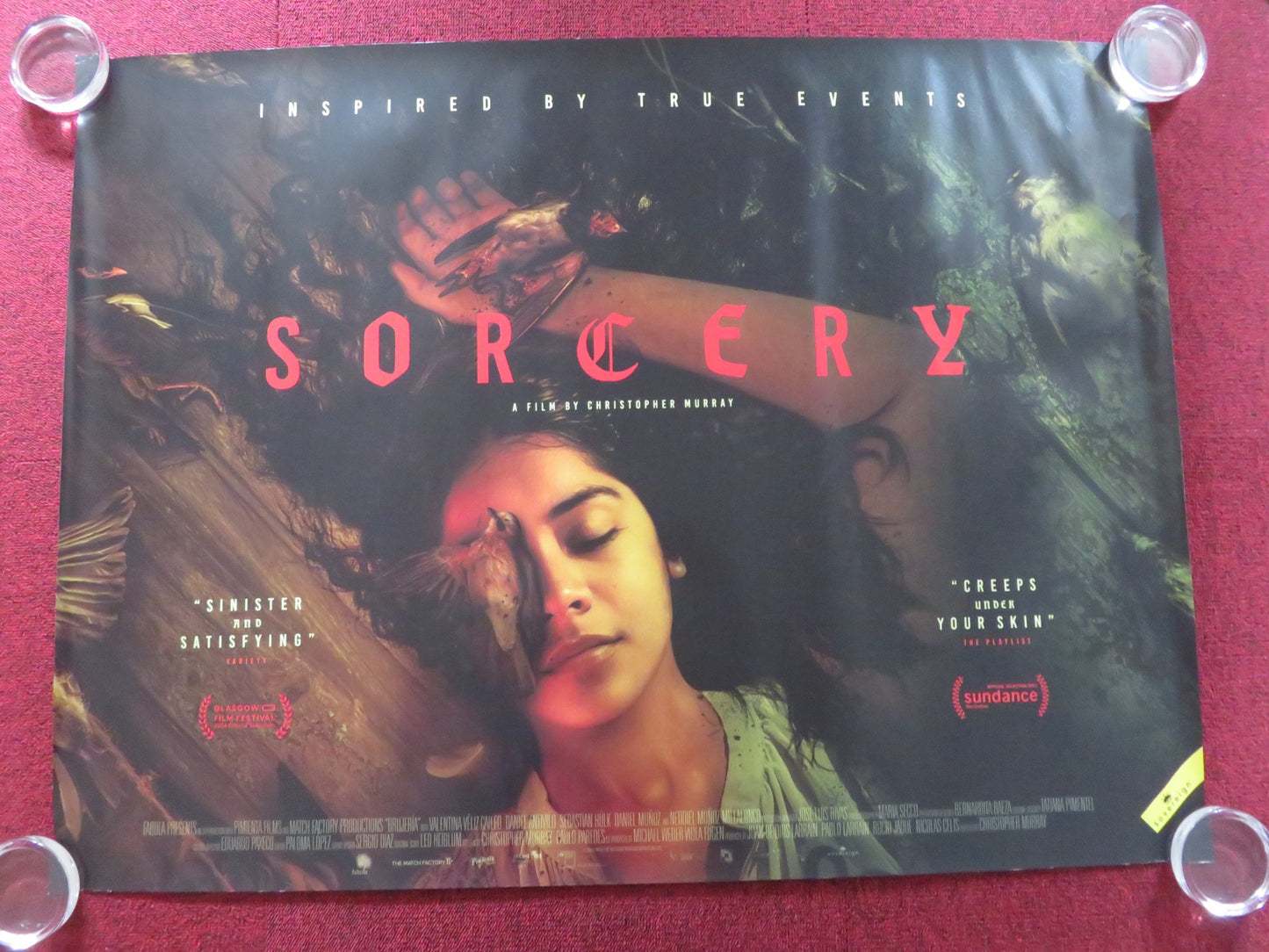 SORCERY UK QUAD ROLLED POSTER VALENTINA VELIZ CAILEO 2023