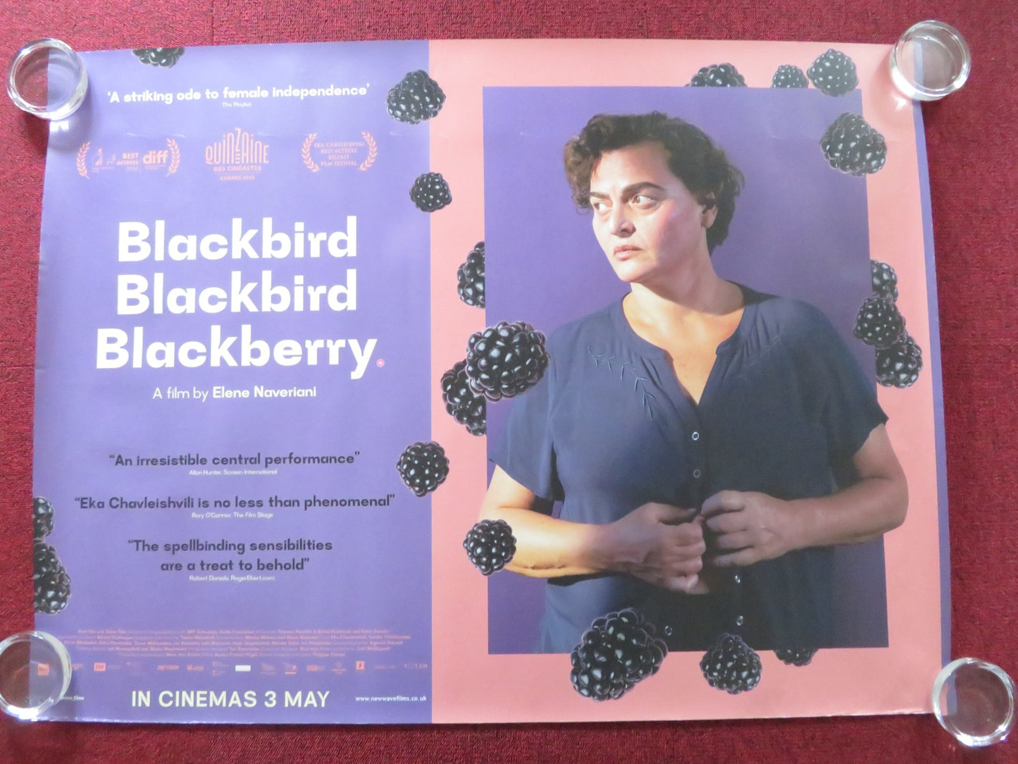 BLACKBIRD BLACKBIRD BLACKBERRY UK QUAD ROLLED POSTER EKA CHAVLEISHVILI 2023