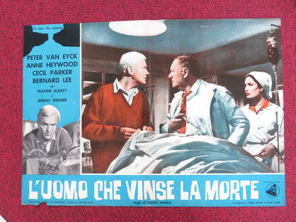 THE BRAIN - C ITALIAN FOTOBUSTA POSTER PETER VAN EYCK ANNE HEYWOOD 1962