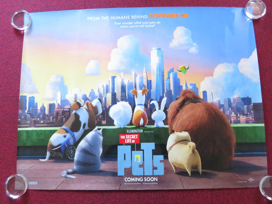 THE SECRET LIFE OF PETS UK QUAD ROLLED POSTER KEVIN HART DANA CARVEY 2016