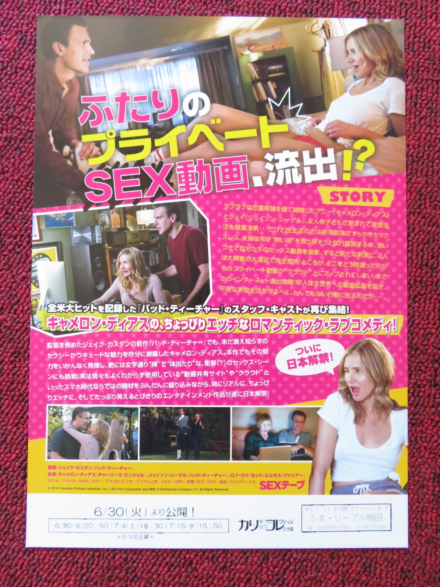 SEX TAPE JAPANESE CHIRASHI (B5) POSTER CAMERON DIAZ JASON SEGEL 2014