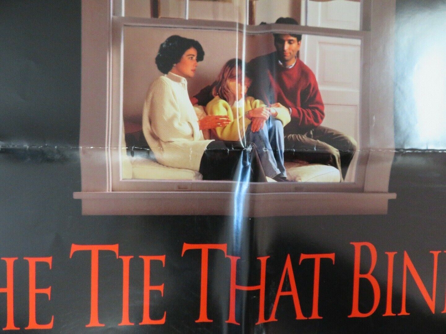 THE TIE THAT BINDS US ONE SHEET (27" x 41") POSTER DARYL HAN NAH WESLEY STRICK