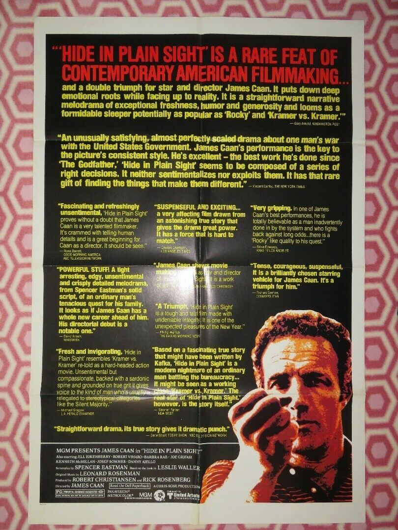 HIDE IN PLAIN SIGHT US ONE SHEET POSTER JAMES CAAN JILL EIKENBERRY