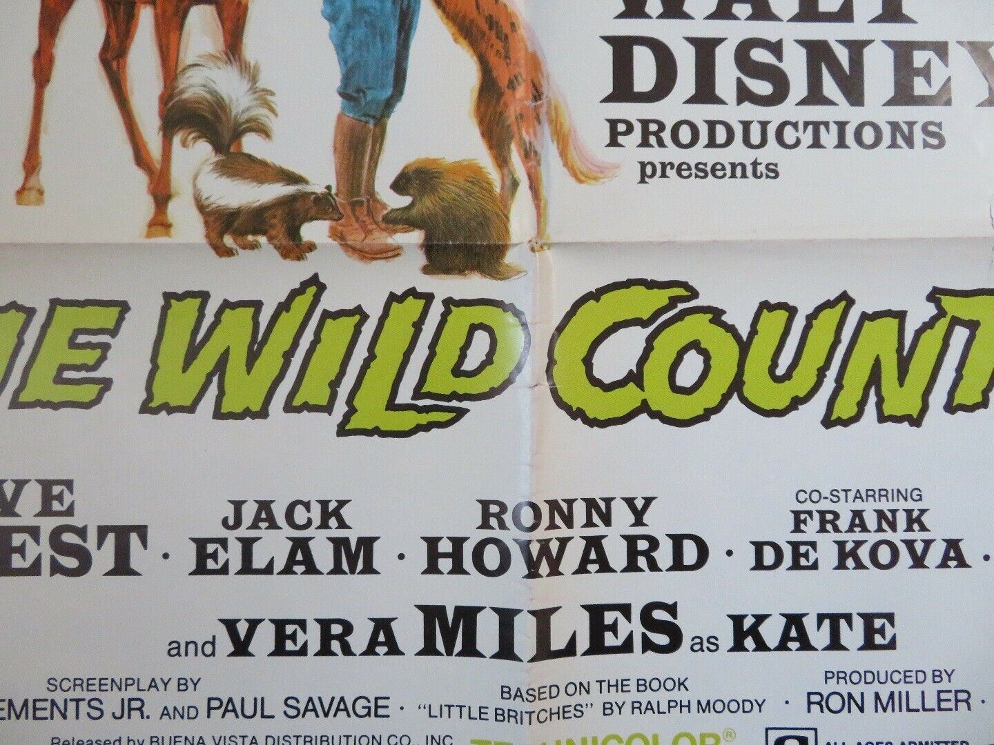 THE WILD COUNTRY ONE SHEET POSTER DISNEY STEVE FORREST VERA MILES