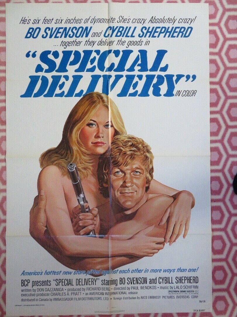 SPECIAL DELIVERY US ONE SHEET POSTER CYBILL SHEPHERD BO SUENSON 1976