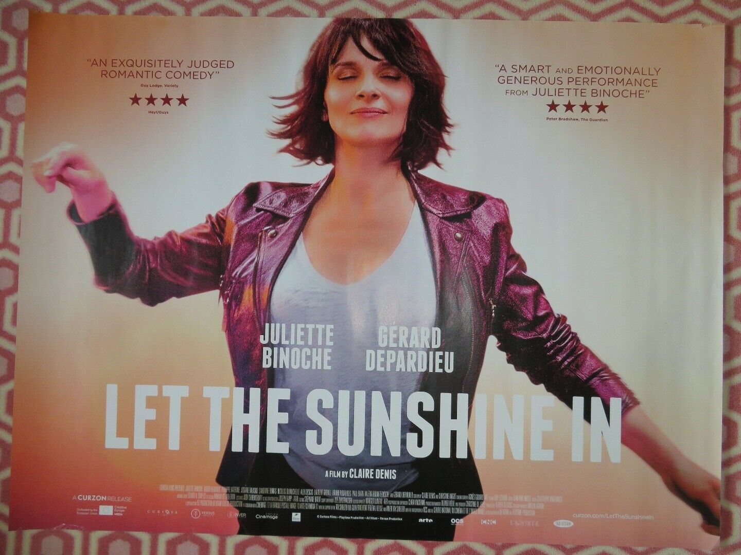 LET THE SUNSHINE IN QUAD (30"x 40") ROLLED POSTER JULIETTE BINOCHE 2017