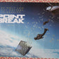 POINT BREAK QUAD (30"x 40") ROLLED POSTER RAY WINSTON 2015 RAY WINSTONE