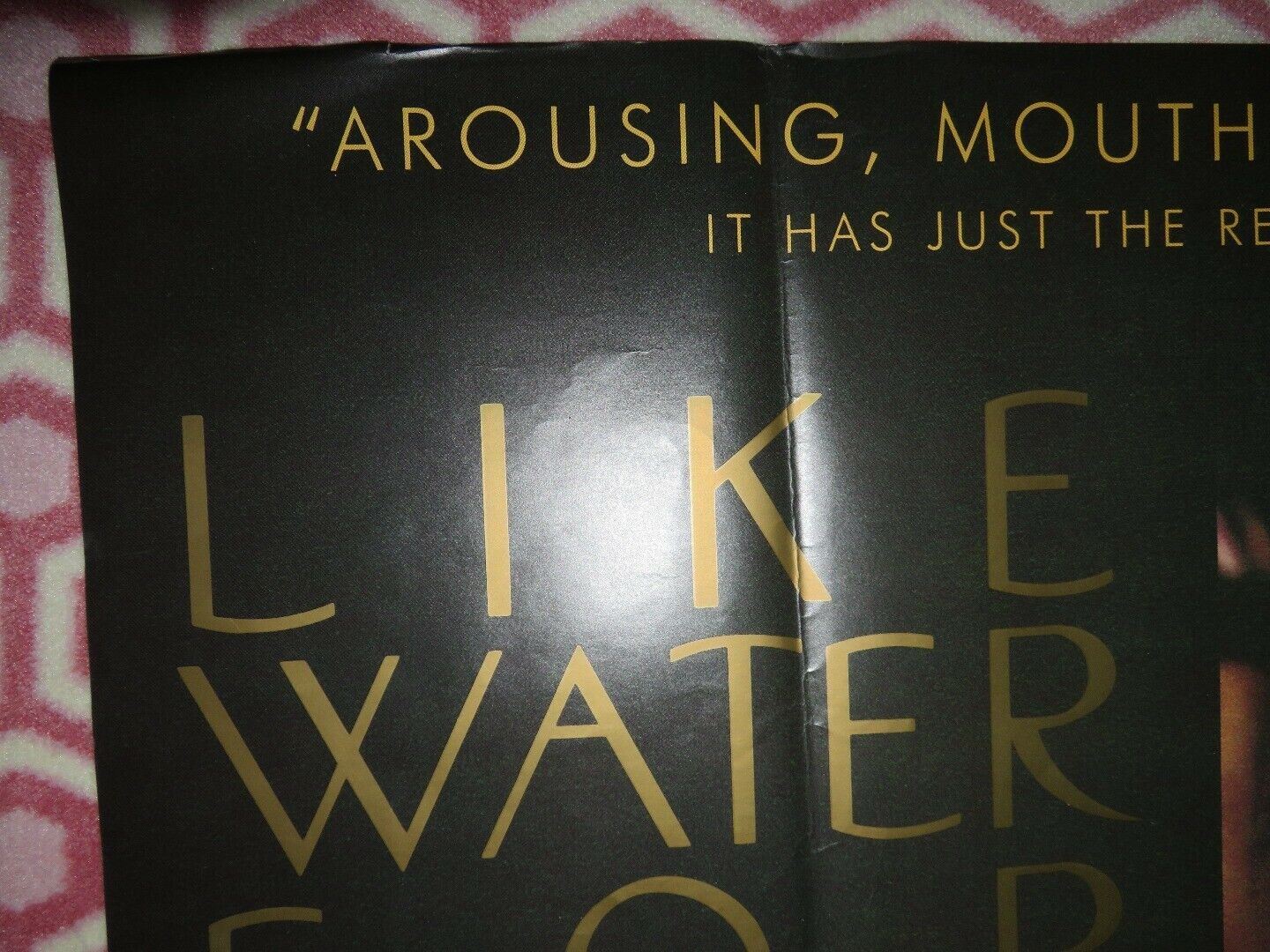 LIKE WATER FOR CHOCO LATTE QUAD (30"x 40") ROLLED POSTER LAURA ESQUIVEL 1992