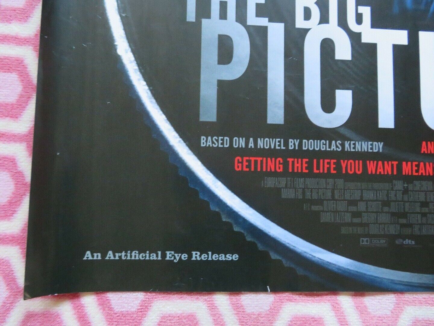 THE BIG PICTURE QUAD (30"x 40") ROLLED POSTER ROMAIN DURIS MARINA FOIS D.KENNEDY