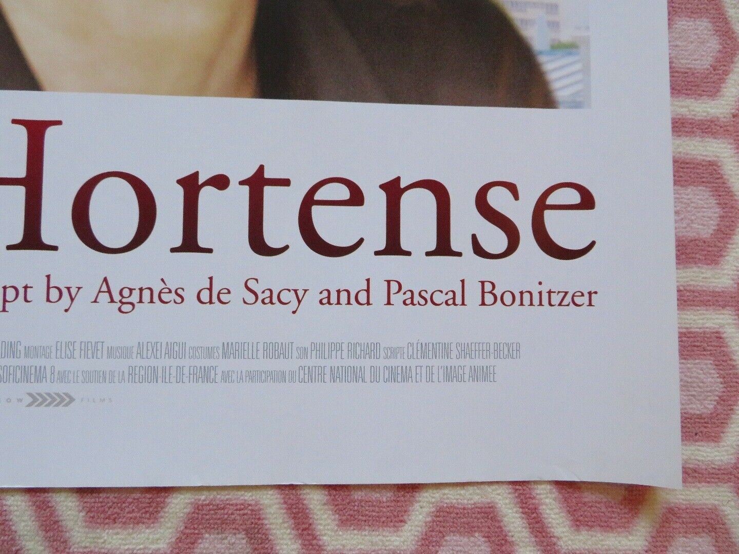 LOOKING FOR HORTENSE QUAD (30"x 40") ROLLED POSTER JEAN-PIERRE BARCRI 2012