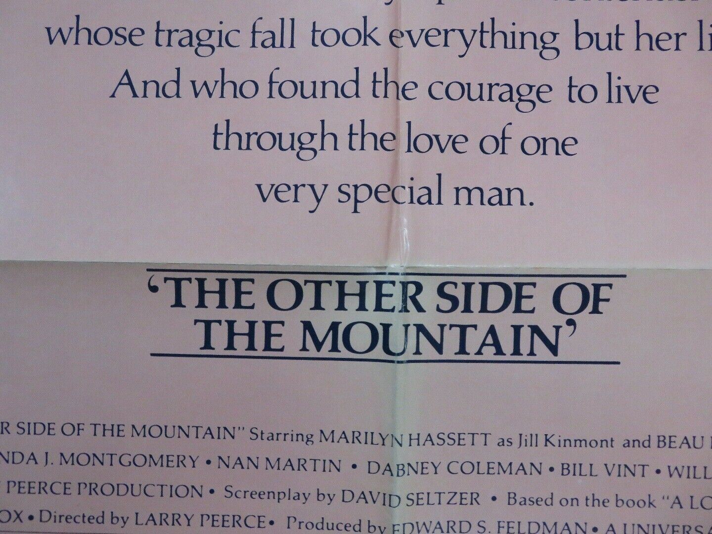 THE OTHER SIDE OF THE MOUNTAIN US ONE SHEET  POSTER MARILYN HASSETT