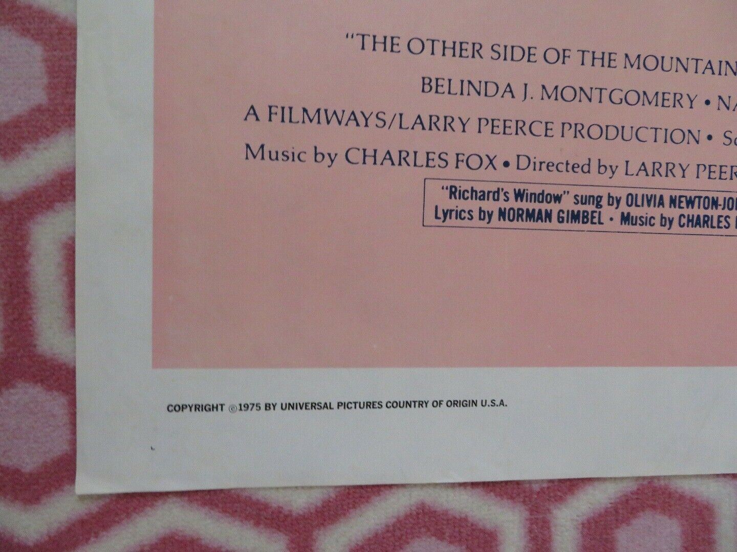 THE OTHER SIDE OF THE MOUNTAIN US ONE SHEET  POSTER MARILYN HASSETT