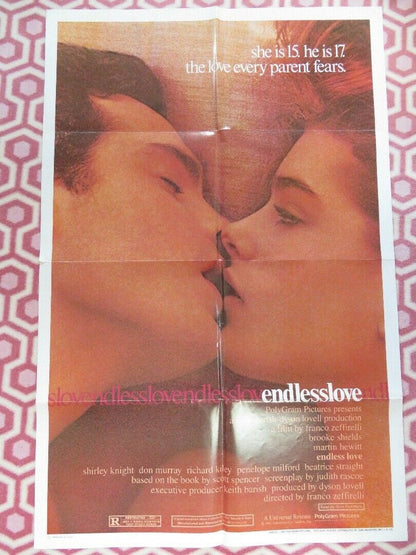 ENDLESS LOVE US ONE SHEET  POSTER SHIRLEY KNIGHT DON MURRAY 1981