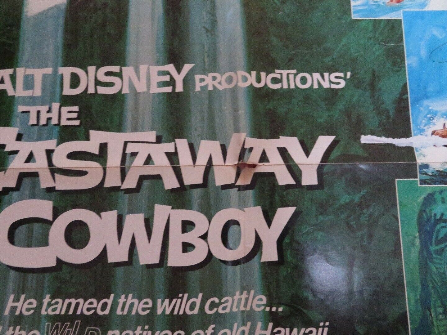 CASTAWAY COWBOY US ONE SHEET  POSTER JAMES GARNER VERA MILES 1974