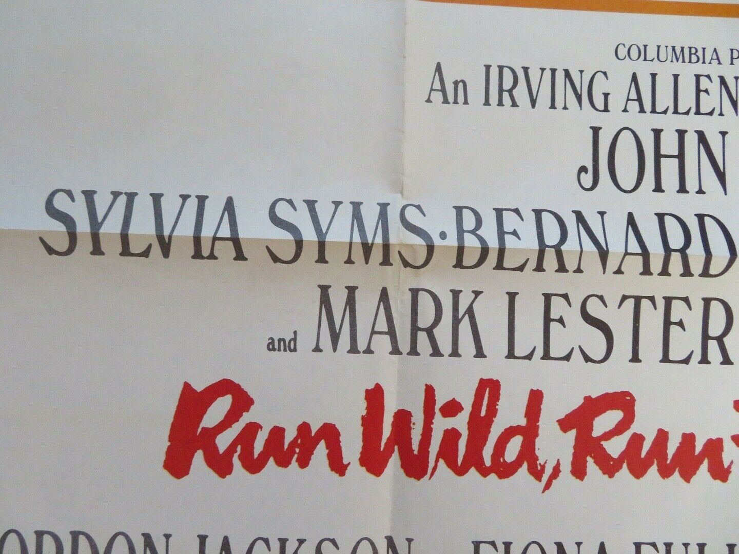 RUN WILD RUN FREE US ONE SHEET POSTER JOHN MILLS 1969