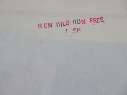 RUN WILD RUN FREE US ONE SHEET POSTER JOHN MILLS 1969