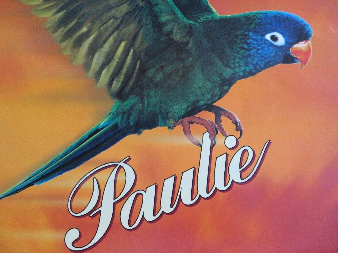 PAULIE  US ONE SHEET ROLLED POSTER DREAMWORKS 1998