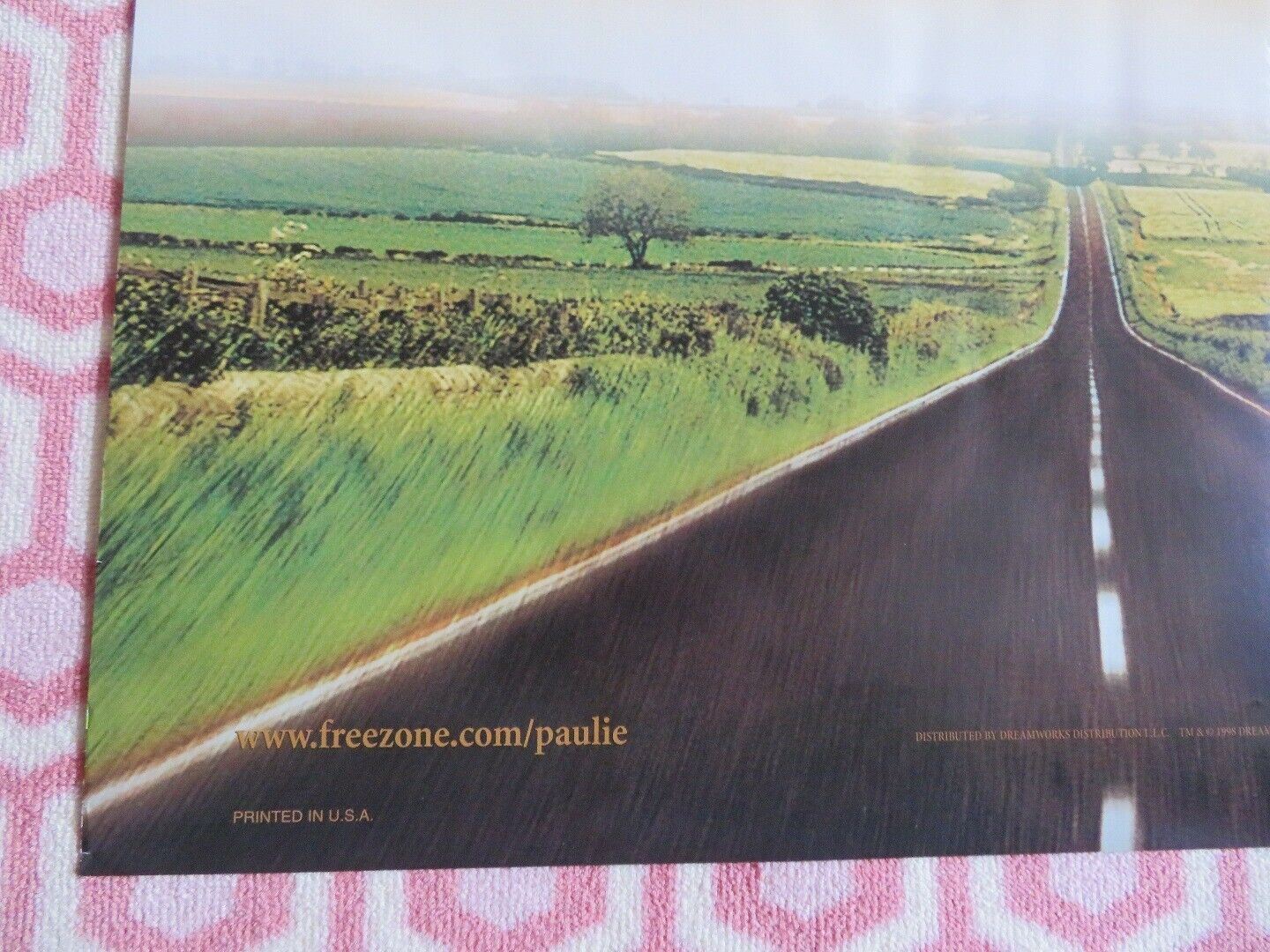 PAULIE  US ONE SHEET ROLLED POSTER DREAMWORKS 1998