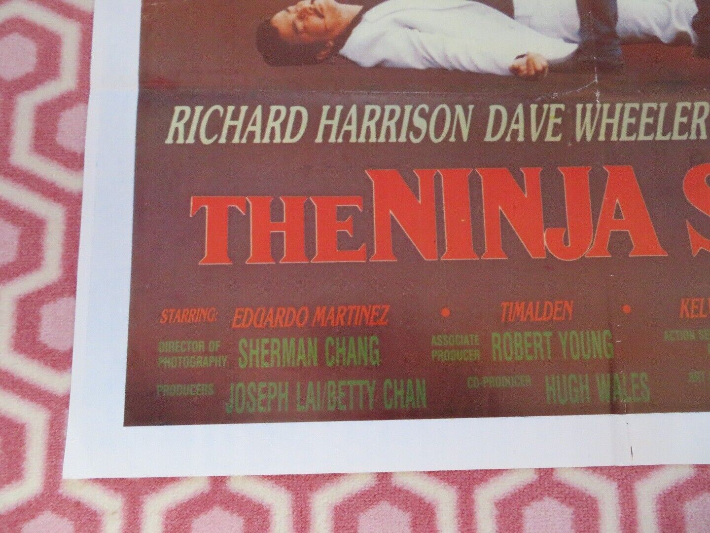 THE NINJA SQUAD HONG KONG (39"x 27") POSTER RICHARD HARRISON DAVE WHEELER 1986