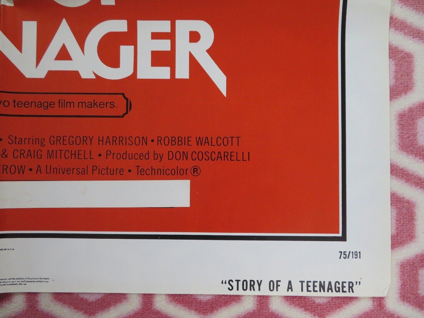 STORY OF A TEENAGER / Jim the World's Greatest US ONE SHEET POSTER 1975