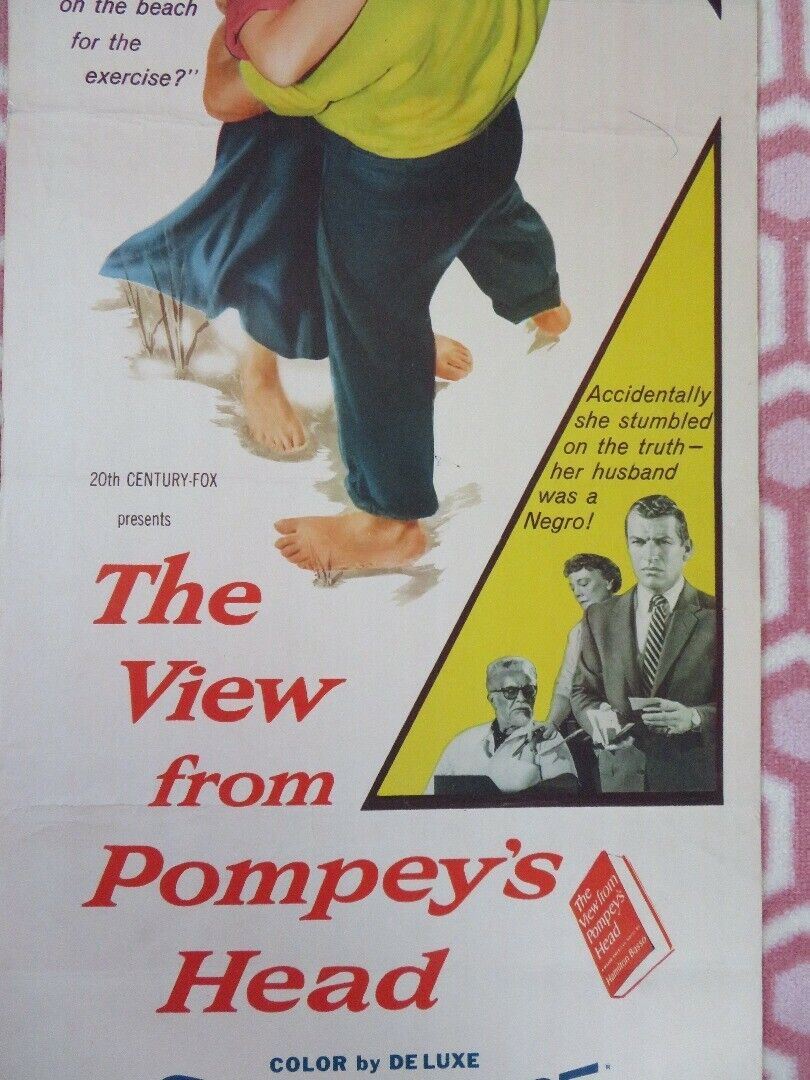 THE VIEW FROM POMPEY'S HEAD US INSERT (14"x 36") POSTER RICHARD EGAN  1955