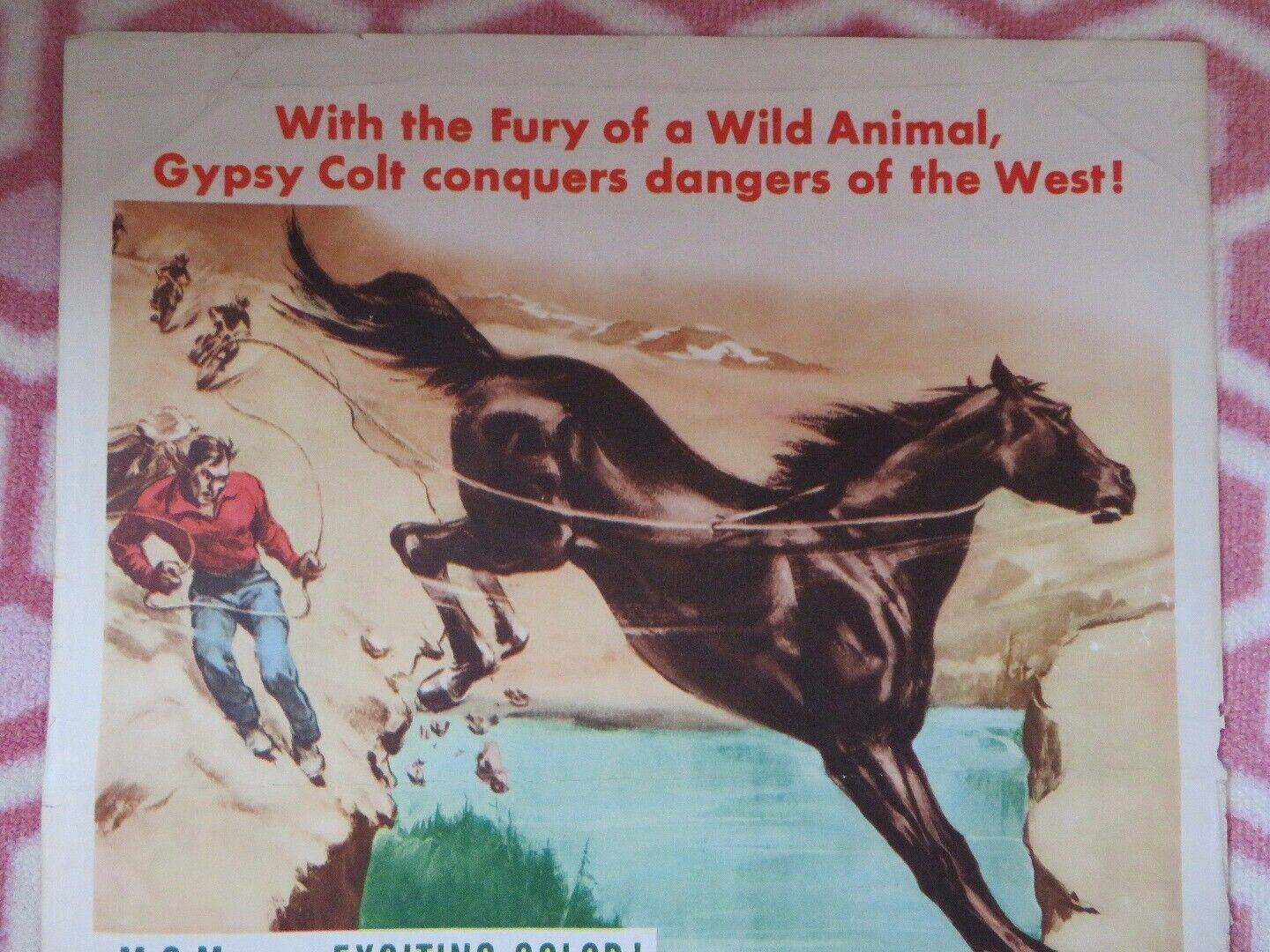 GYPSY COLT US INSERT (14"x 36") POSTER DONNA CORCORAN 1954