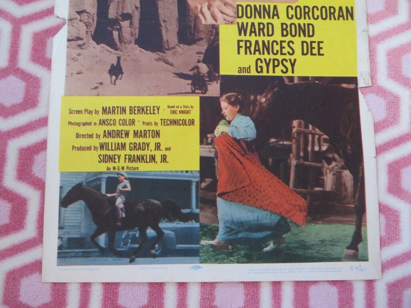 GYPSY COLT US INSERT (14"x 36") POSTER DONNA CORCORAN 1954