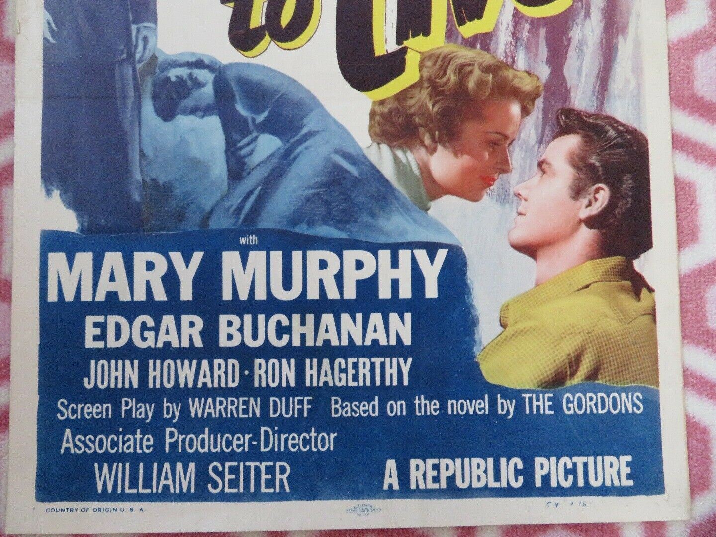 MAKE HASTE TO LIVE US INSERT (14"x 36") POSTER DOROTHY MCGUIRE 1954