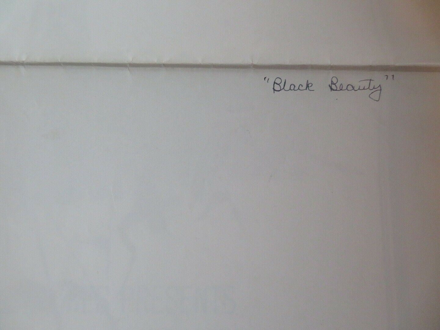 BLACK BEAUTY  US ONE SHEET POSTER MARK LESTER WALTER SLEZAK 1971