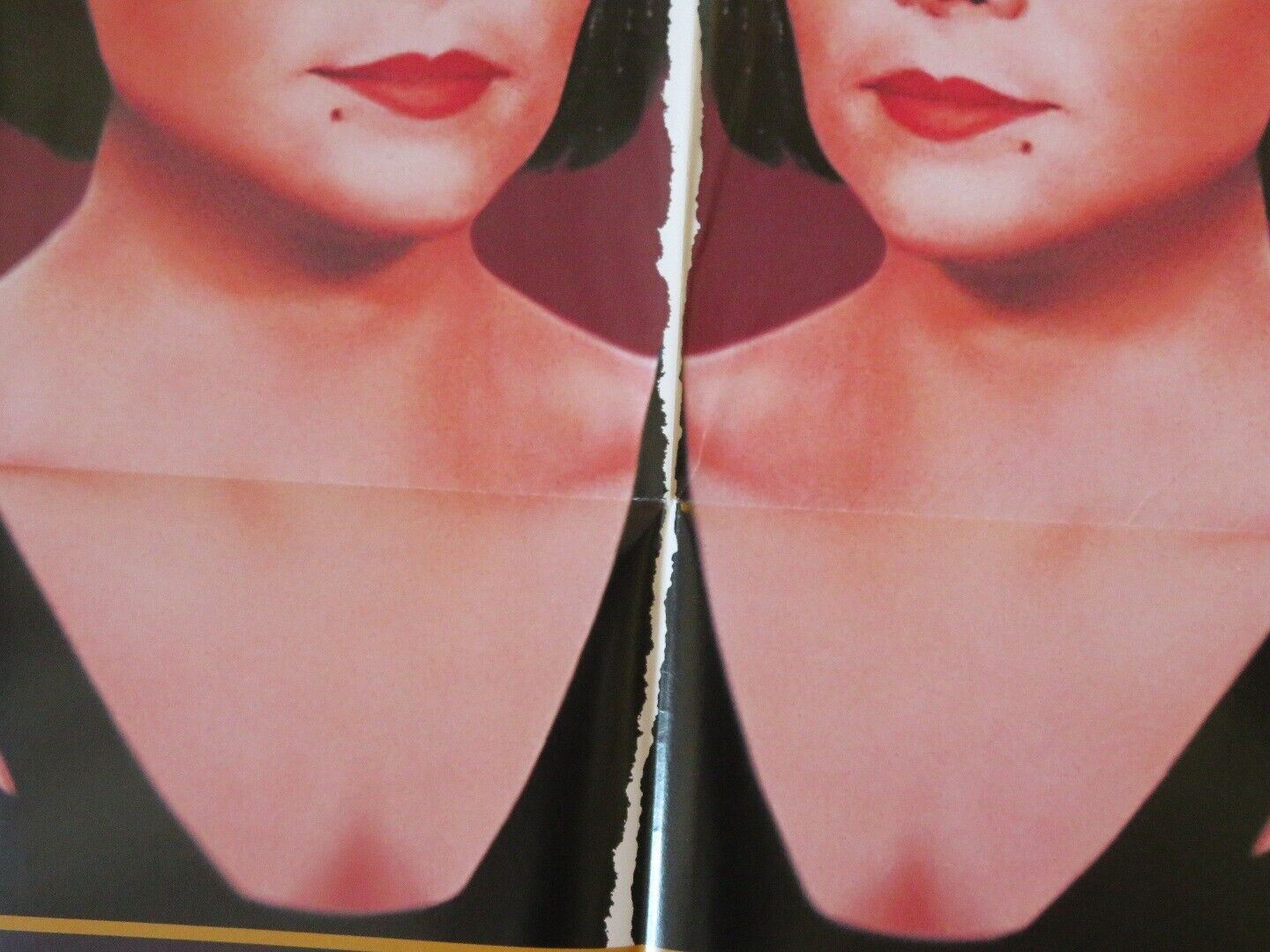 DOUBLE VISION  VIDEO VHS POSTER FOLDED KIM CATTRALL 1992