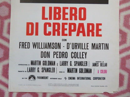 LIBERO DI CREPARE ITALIAN LOCANDINA (27.5"x13") POSTER FRED WILLIAMSON 1973