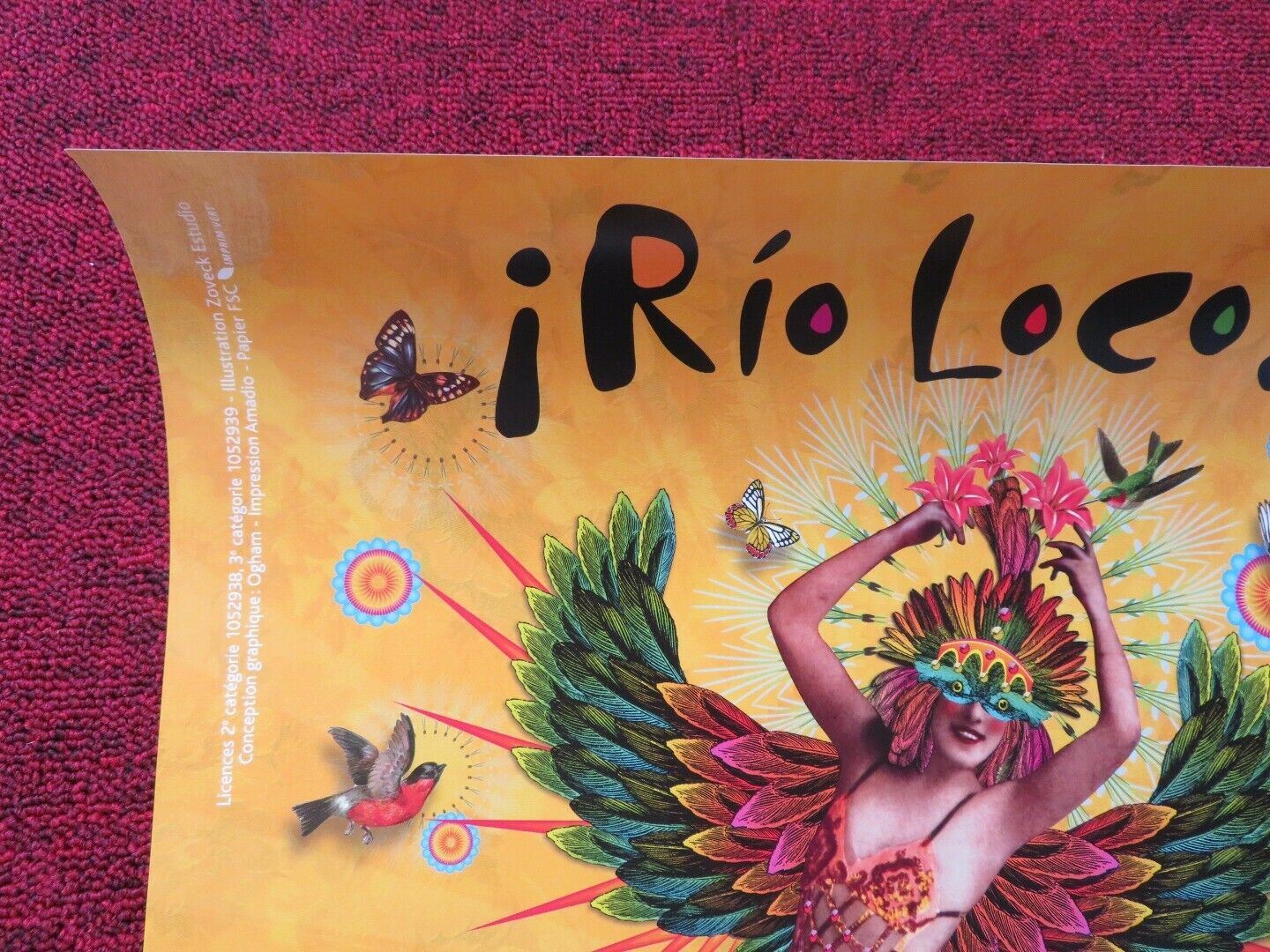 RIO LOCO FRENCH (16"x 23.5") POSTER MUSIC FESTIVAL 2013