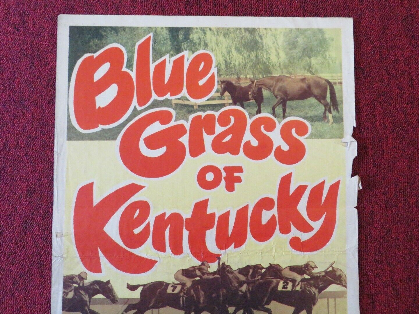 BLUE GRASS OF KENTUCKY US INSERT (14"x 36") POSTER BILL WILLIAMS JANE NIGH 1950