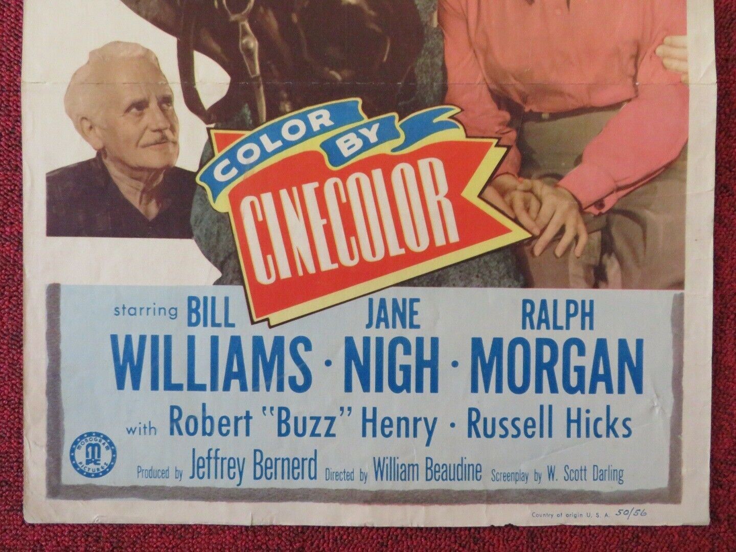 BLUE GRASS OF KENTUCKY US INSERT (14"x 36") POSTER BILL WILLIAMS JANE NIGH 1950