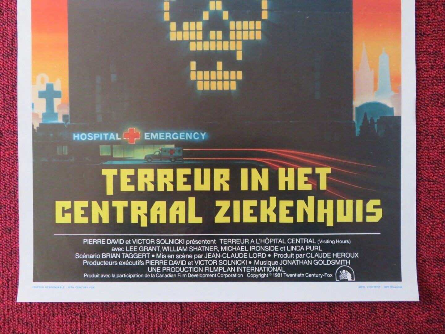 TERREUR A L'HOPITAL CENTRAL / VISITING HOURS BELGIUM (21"x14") POSTER 1982