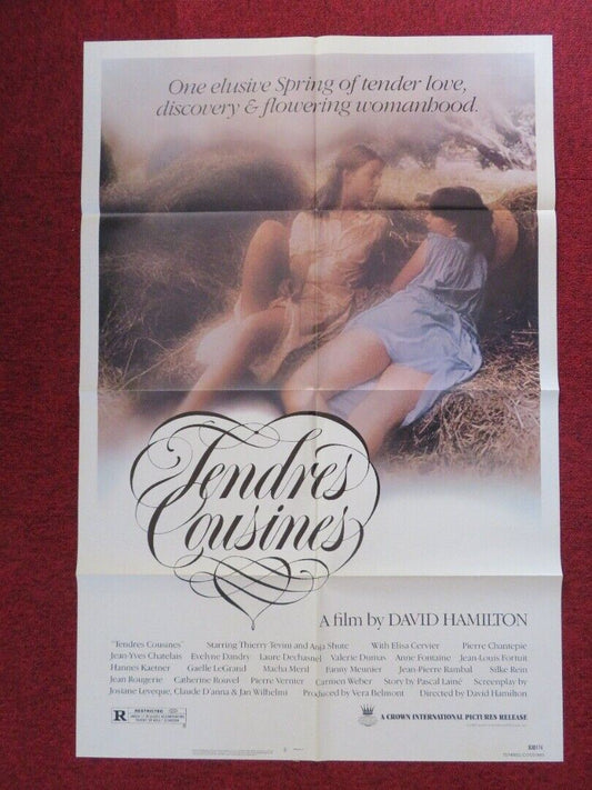 Tender Cousins  ONE SHEET POSTER FOLDED DAVID HALMILTON 1983