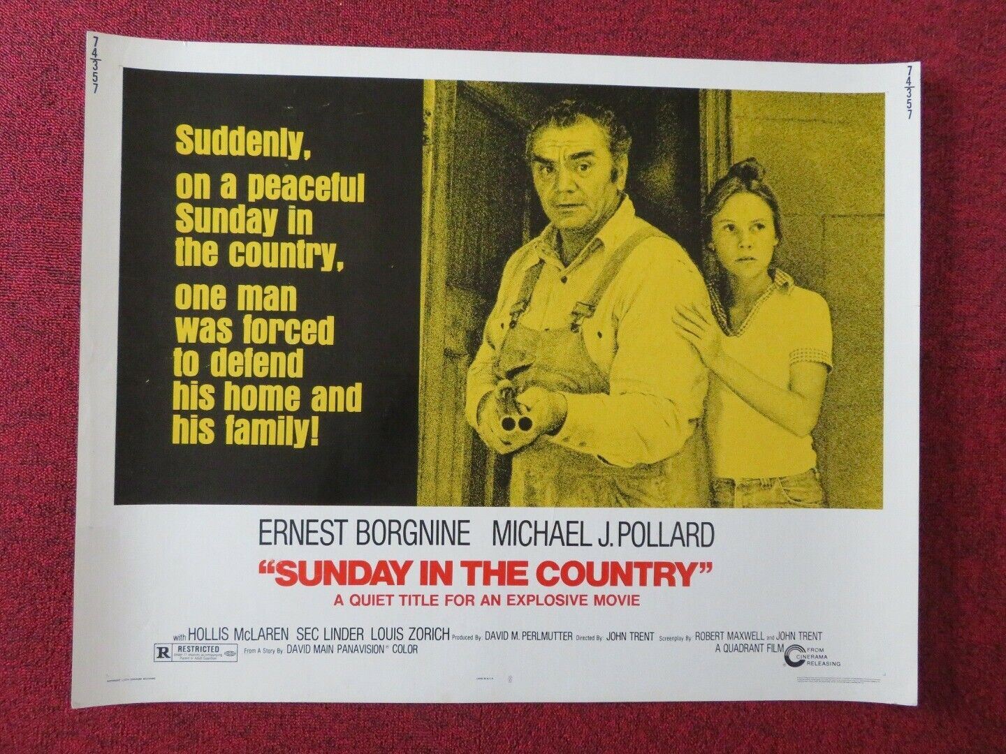 SUNDAY IN THE COUNTRY  US HALF SHEET (22"x 28") POSTER ERNEST BORGNINE 1974