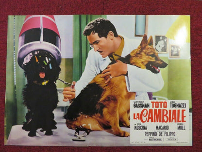 LA CAMBIALE ITALIAN FOTOBUSTA POSTER VITTORIO GASSMAN SYLVA KOSCINA 1959