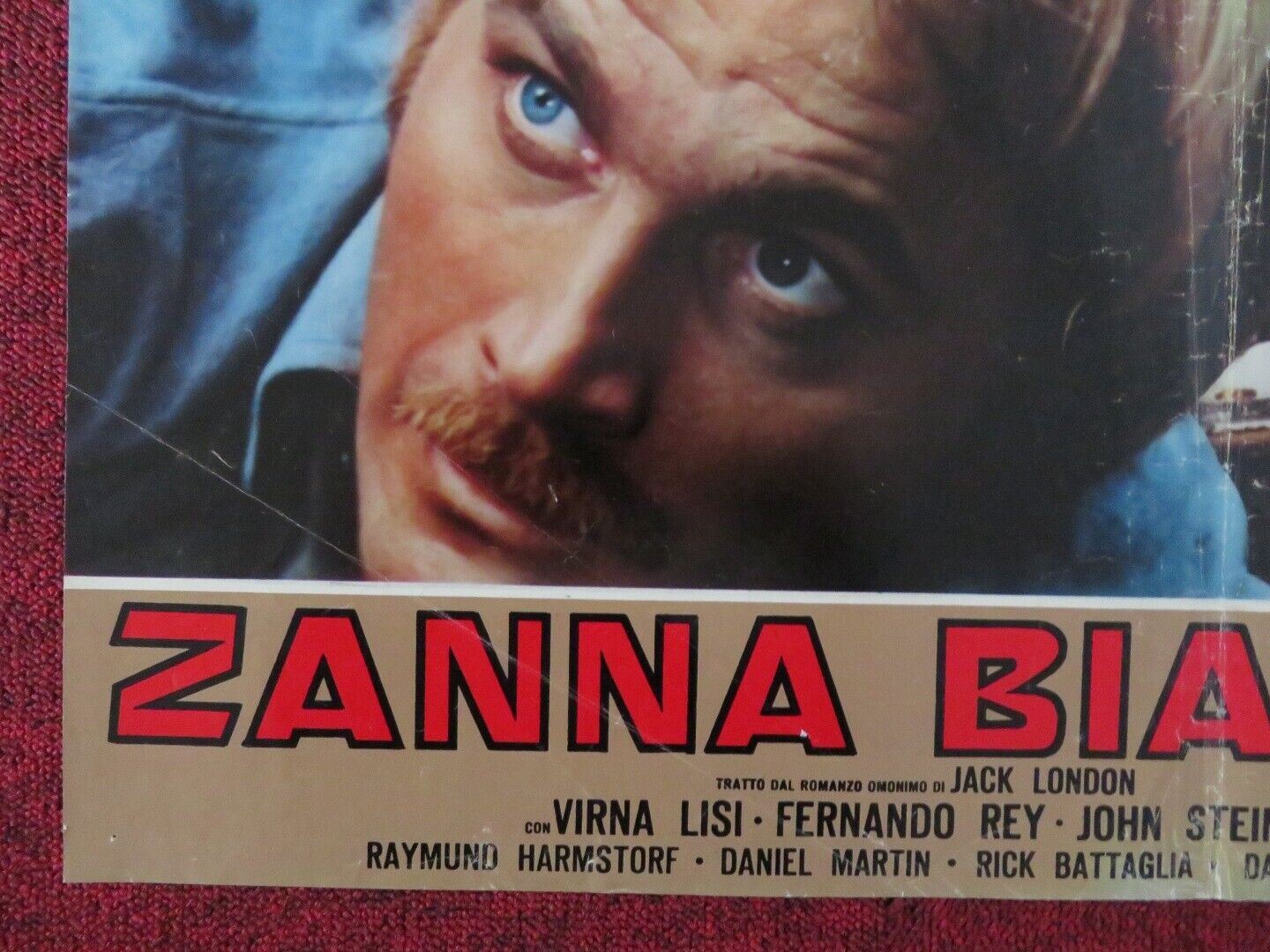 ZANNA BIANCA / WHITE FANG - D ITALIAN FOTOBUSTA POSTER LUCIO FULCI FRANCO NERO