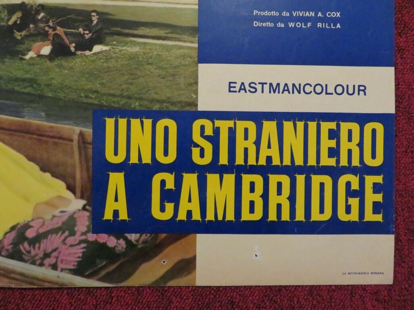 UNO STRANIERO A CAMBRIDGE / BATCHELOR OF HEARTS ITALIAN FOTOBUSTA POSTER 1958