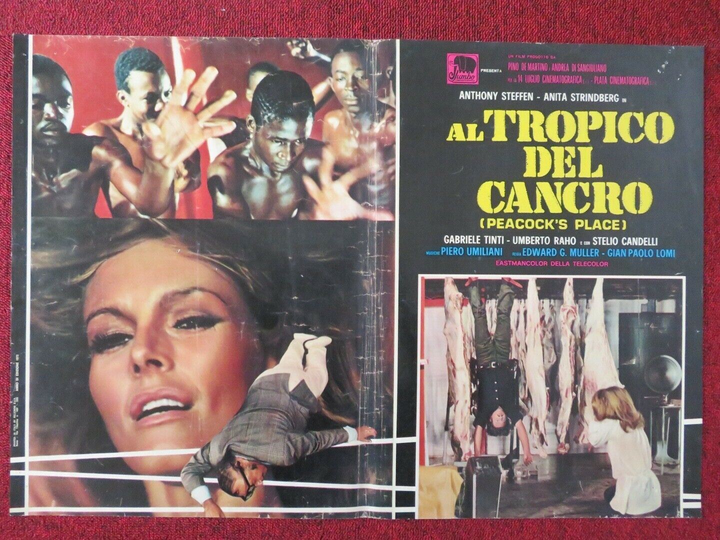 AL TROPICO DEL CANCRO / PEACOCK'S PLACE - E ITALIAN FOTOBUSTA POSTER 1972