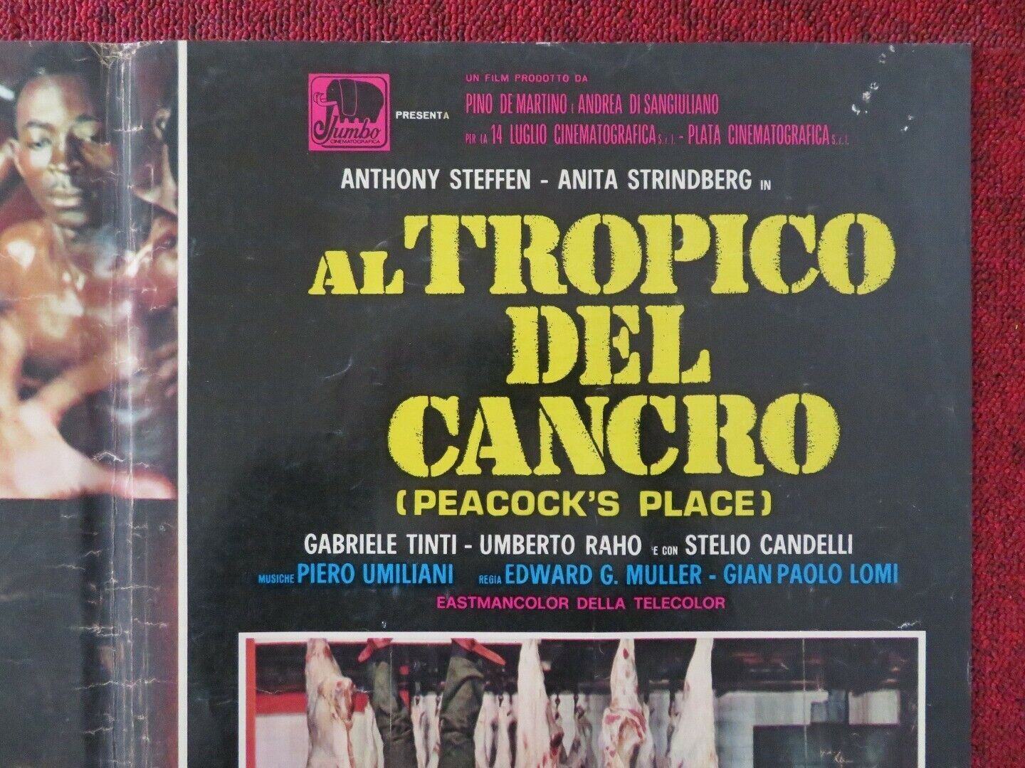 AL TROPICO DEL CANCRO / PEACOCK'S PLACE - E ITALIAN FOTOBUSTA POSTER 1972