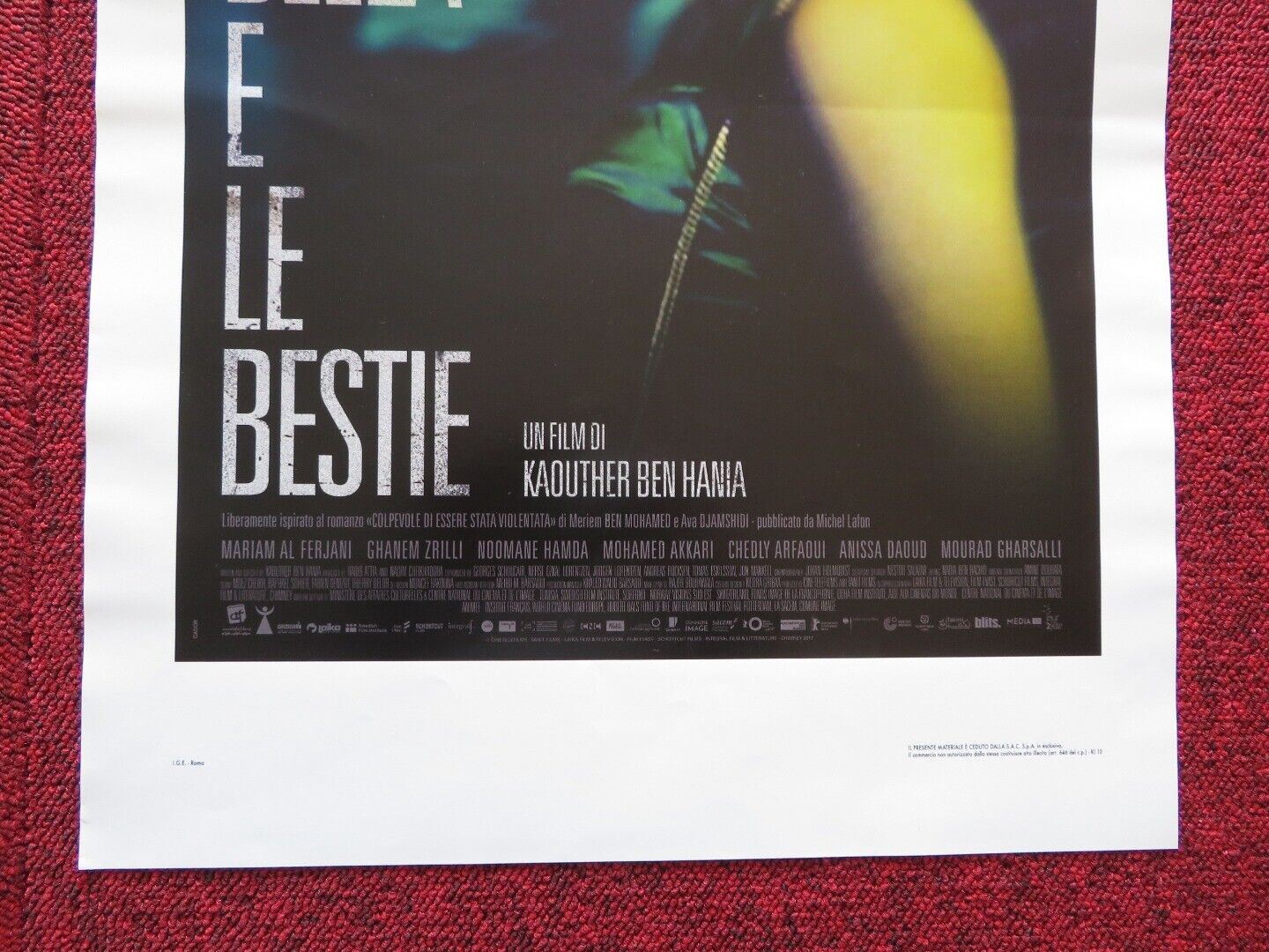 LA BELLA E LE BESTIE ITALIAN LOCANDINA (27.5"x13") POSTER MARIAM AL FERJANI 2017