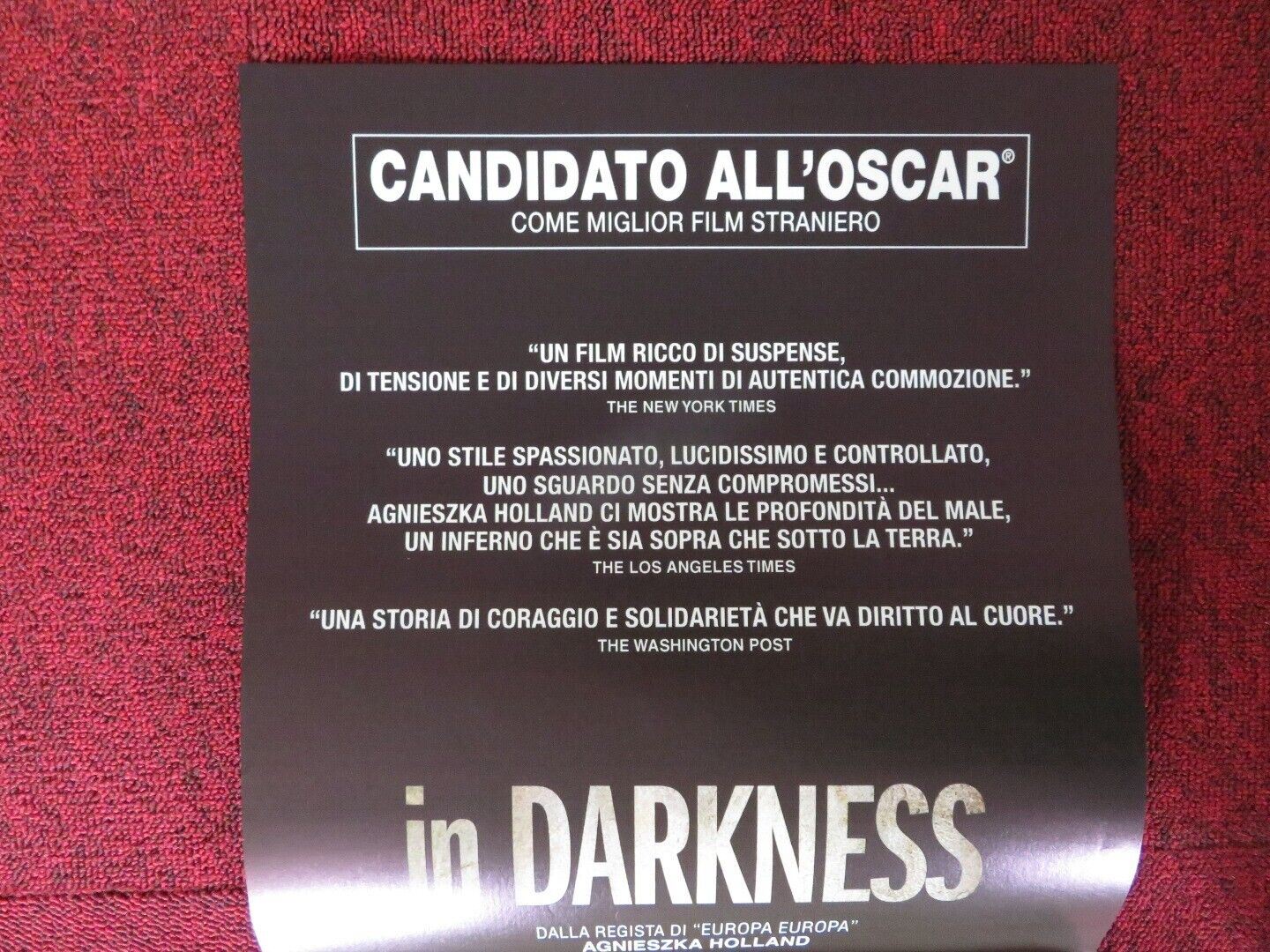 IN DARKNESS ITALIAN LOCANDINA (26.5"x12.5") POSTER ROBERT WIECKIEWICZ 2011