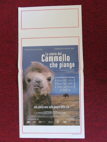 LA STORIA DEL CAMMELLO CHE PIANGE ITALIAN LOCANDINA (27.5"x13") POSTER 2003