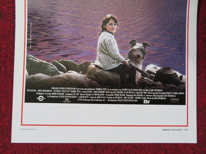 LOCHNESS  ITALIAN LOCANDINA (27.5"x13") POSTER TED DANSON JOELY RICHARDSON 1996